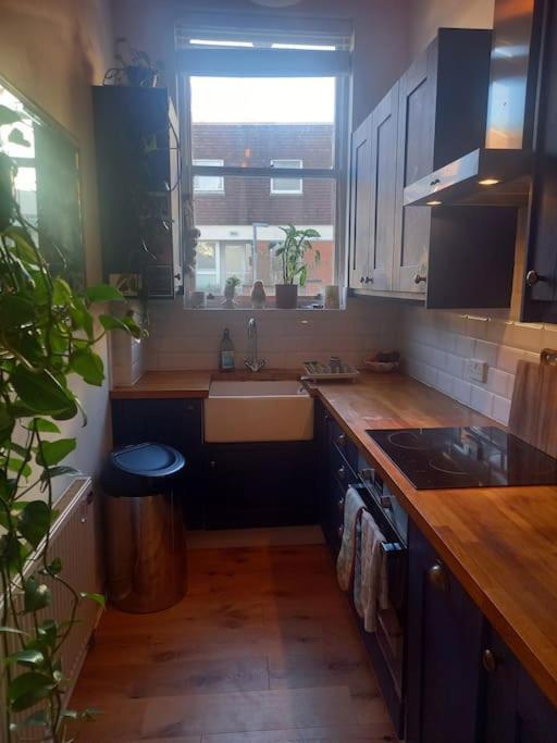 Beautiful Stylish Seaside Flat Hove